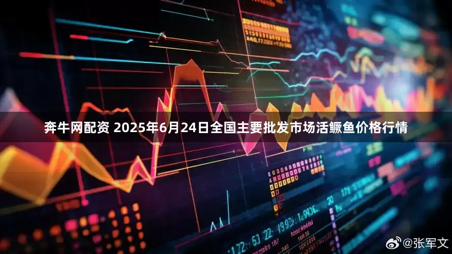 奔牛网配资 2025年6月24日全国主要批发市场活鳜鱼价格行情