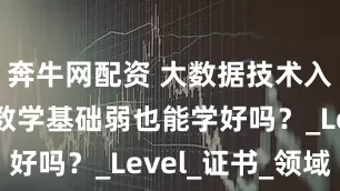 奔牛网配资 大数据技术入门指南：数学基础弱也能学好吗？_Level_证书_领域