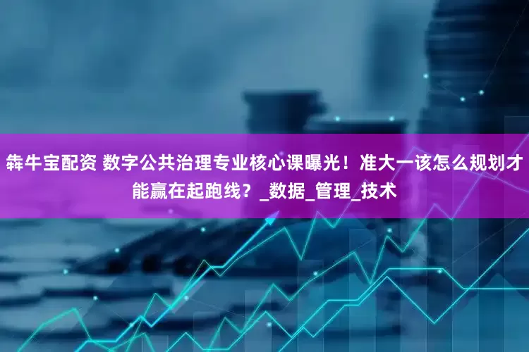犇牛宝配资 数字公共治理专业核心课曝光！准大一该怎么规划才能赢在起跑线？_数据_管理_技术