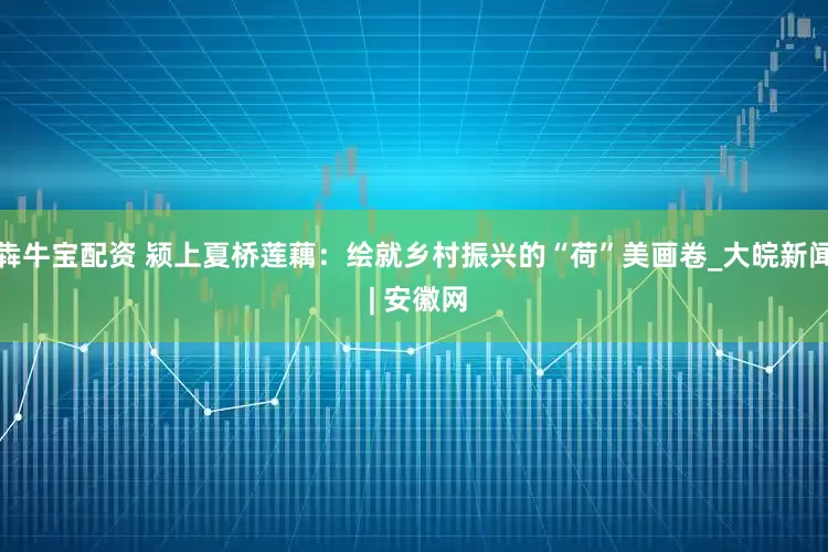 犇牛宝配资 颍上夏桥莲藕：绘就乡村振兴的“荷”美画卷_大皖新闻 | 安徽网